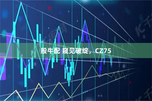 股牛配 窥见破绽，CZ75