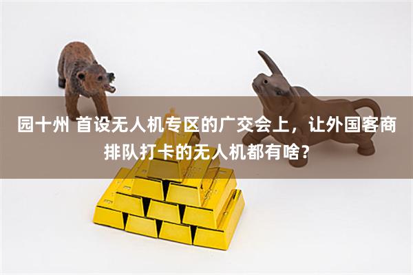 园十州 首设无人机专区的广交会上，让外国客商排队打卡的无人机都有啥？