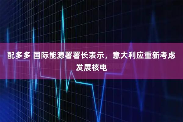 配多多 国际能源署署长表示，意大利应重新考虑发展核电