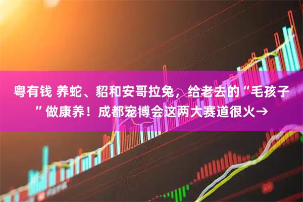 粤有钱 养蛇、貂和安哥拉兔，给老去的“毛孩子”做康养！成都宠博会这两大赛道很火→