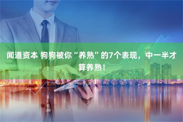 闻道资本 狗狗被你“养熟”的7个表现，中一半才算养熟！