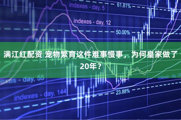 满江红配资 宠物繁育这件难事慢事，为何皇家做了20年？